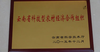 云南省科技型農(nóng)村經(jīng)濟合作組織